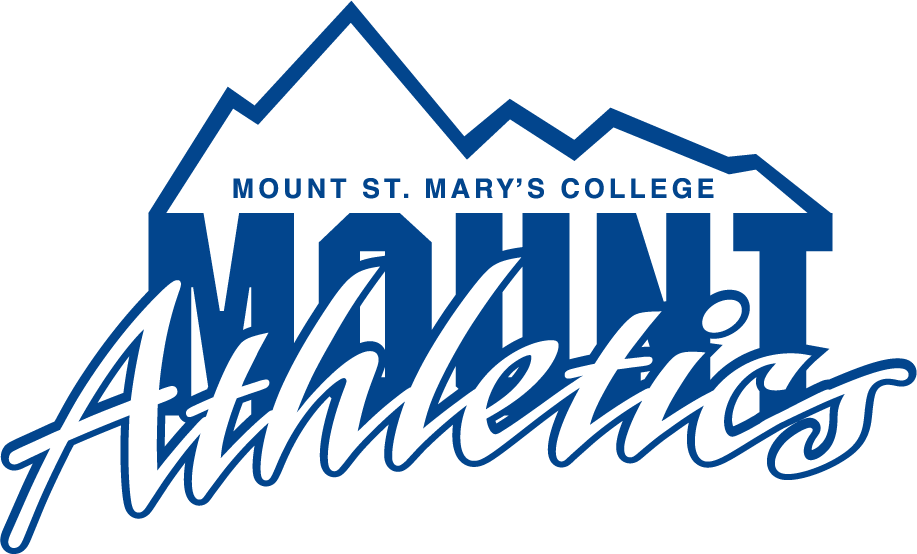 Mount St. Marys Mountaineers 1990-1996 Primary Logo diy iron on heat transfer